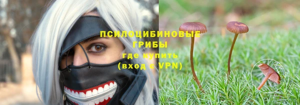 гидра Абинск