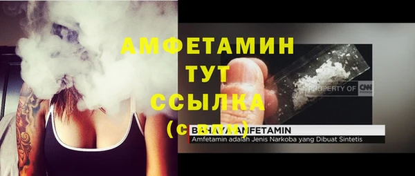 крисы Абаза
