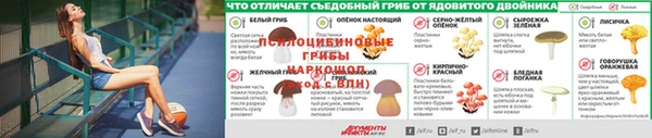 индика Алзамай