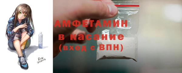 крисы Абаза