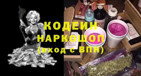 индика Алзамай