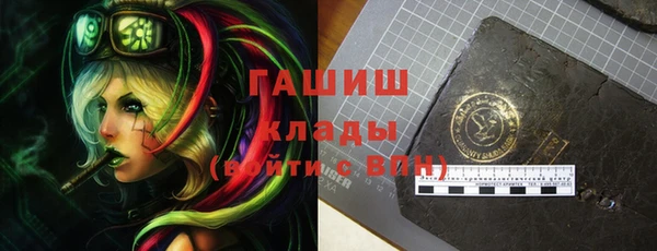 индика Алзамай