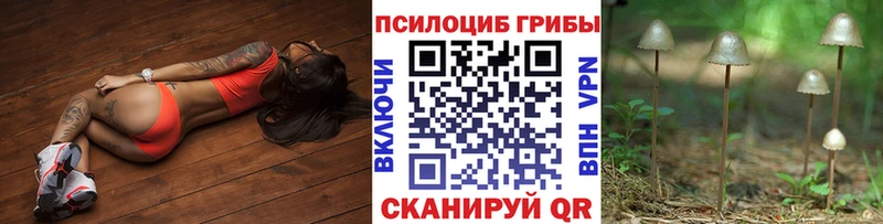 darknet какой сайт  Темников  Псилоцибиновые грибы мицелий 